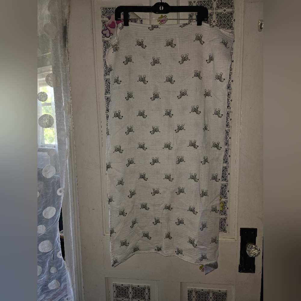 Amazing baby (swaddle) zebras